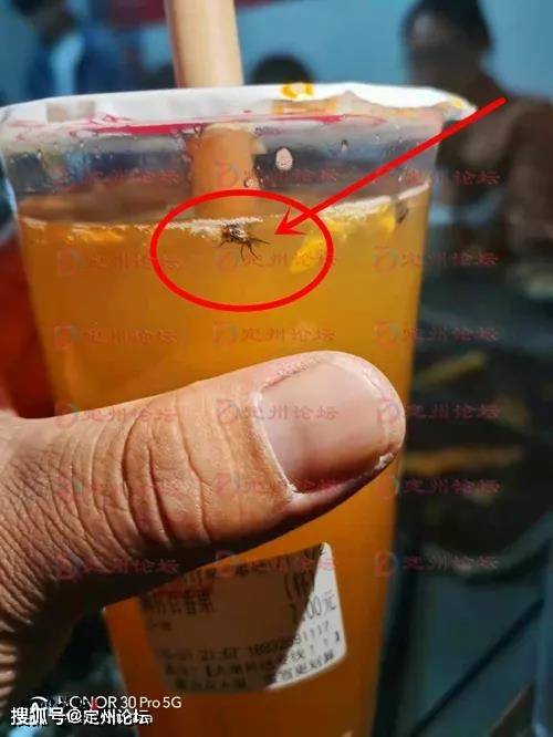 河北定州:这家饮料店真"良心",买百香果赠送"绿豆蝇"!
