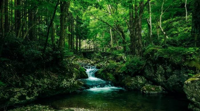 电商出手整治家电窜货，短期动作还是长期策略？-家电圈官网