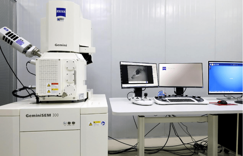 sem eds能谱分析 元素分析