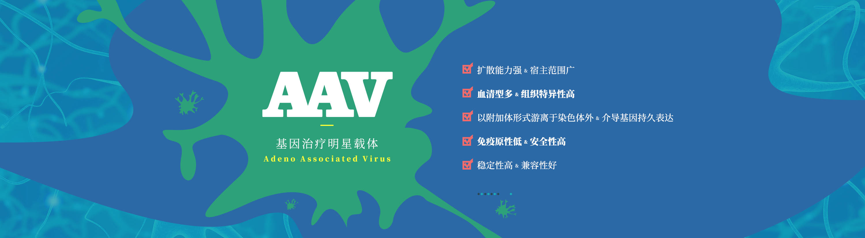 实验|知识分享：AAV自噬双标病毒