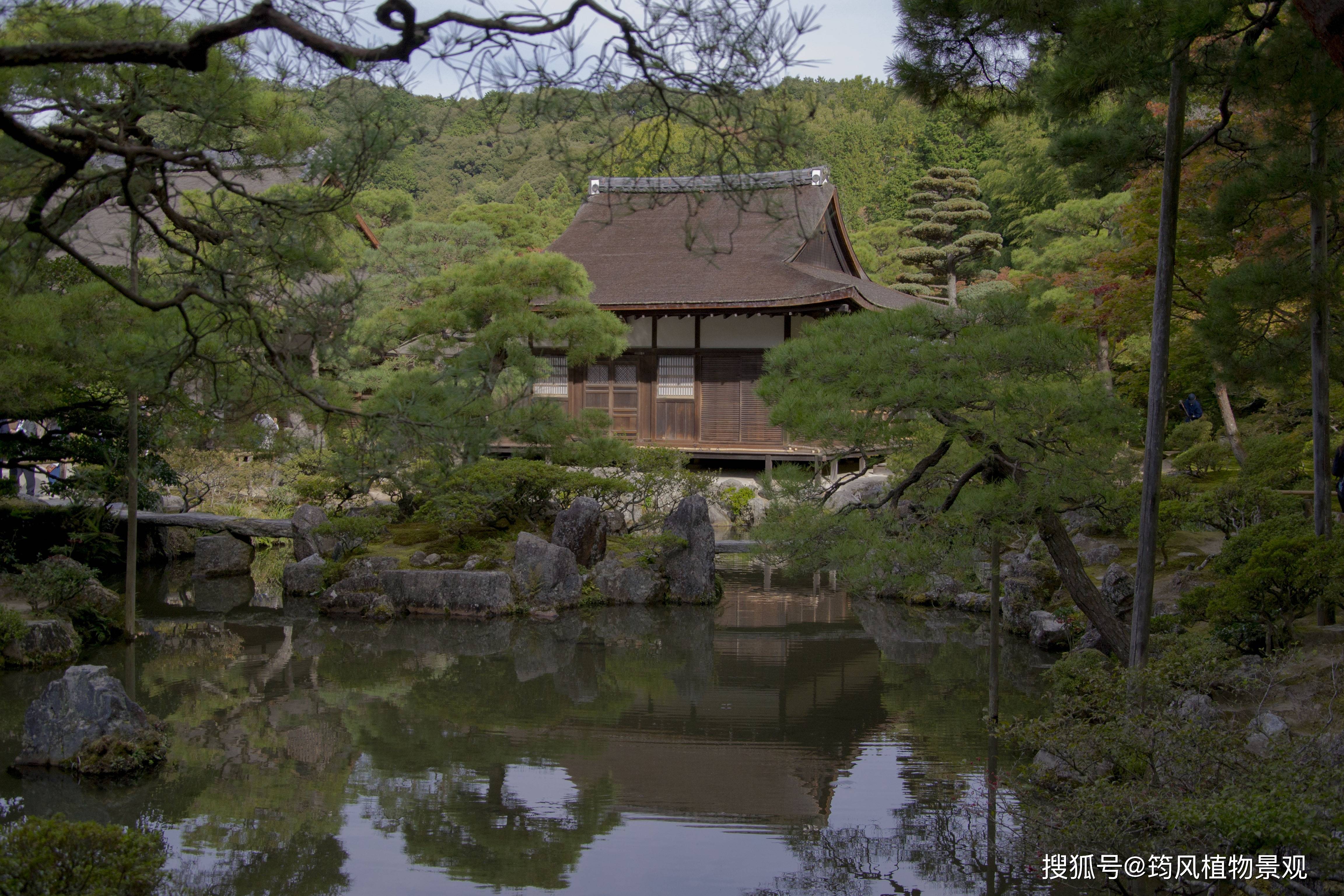 一块山石的亲身讲述:带你跨越千年,见证日本庭院的诞生与演变