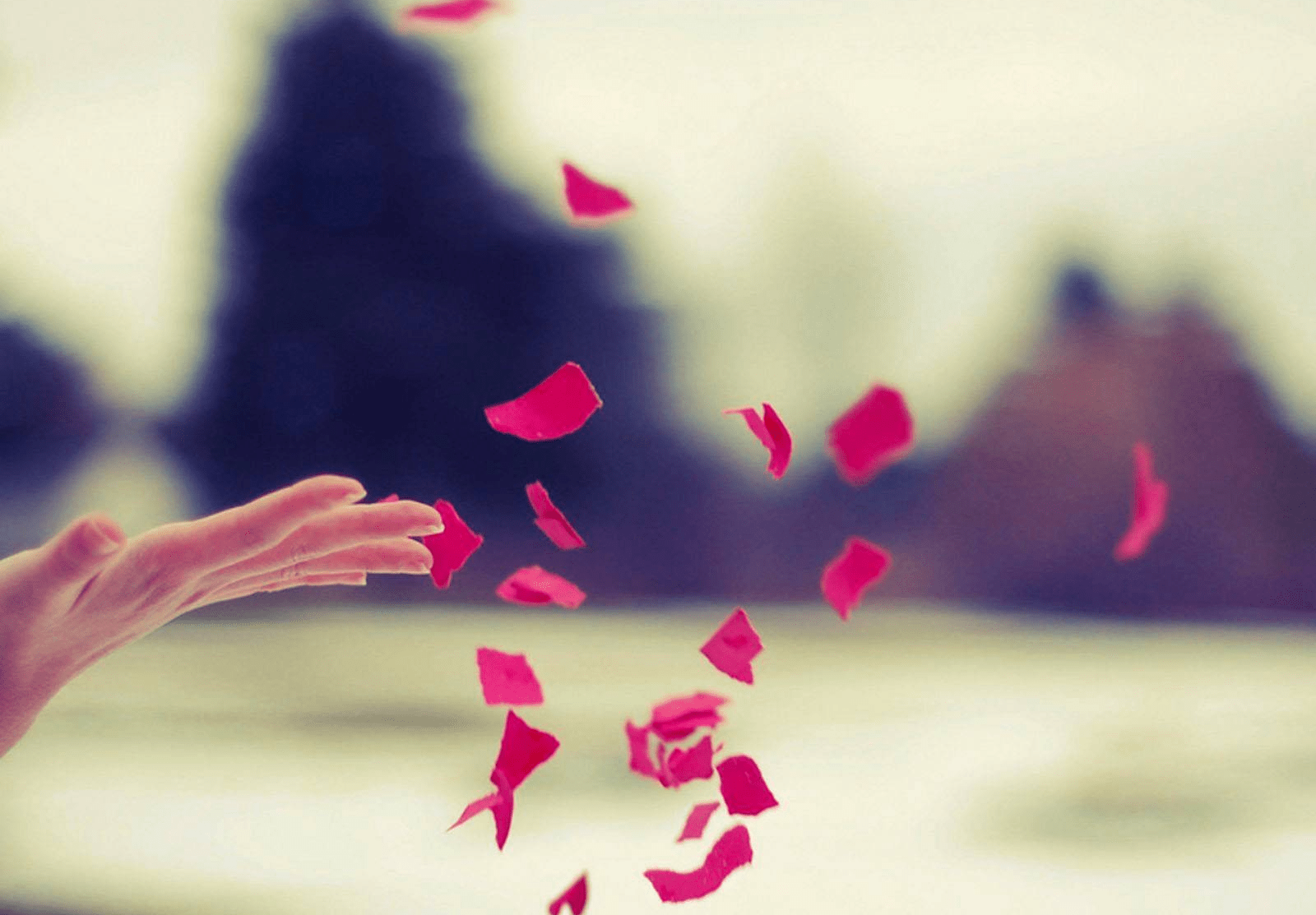9b012d39a2c2401b85a4706fc6a2cb63.png