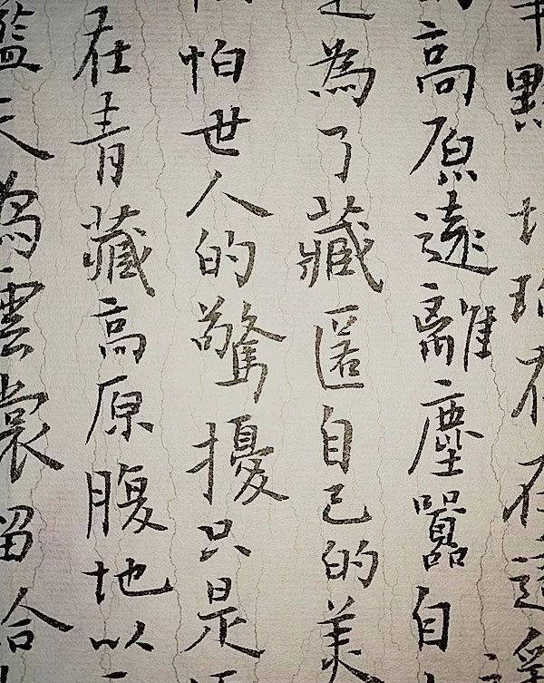 书法家司俊杰苍朴简约浑厚秀逸