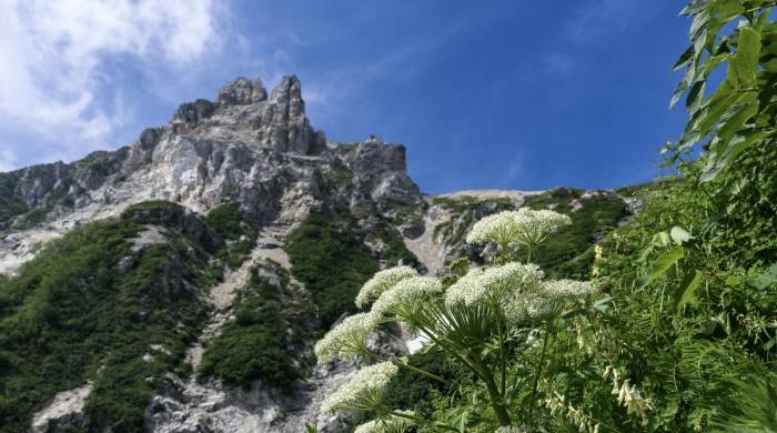 小家电维修存在三大挑战，企业尝试“以换代修”也难搞！-家电圈官网