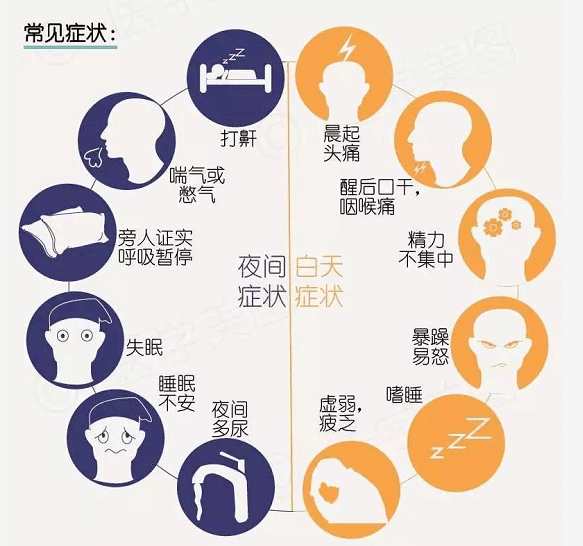 肥胖与呼吸系统疾病_睡眠