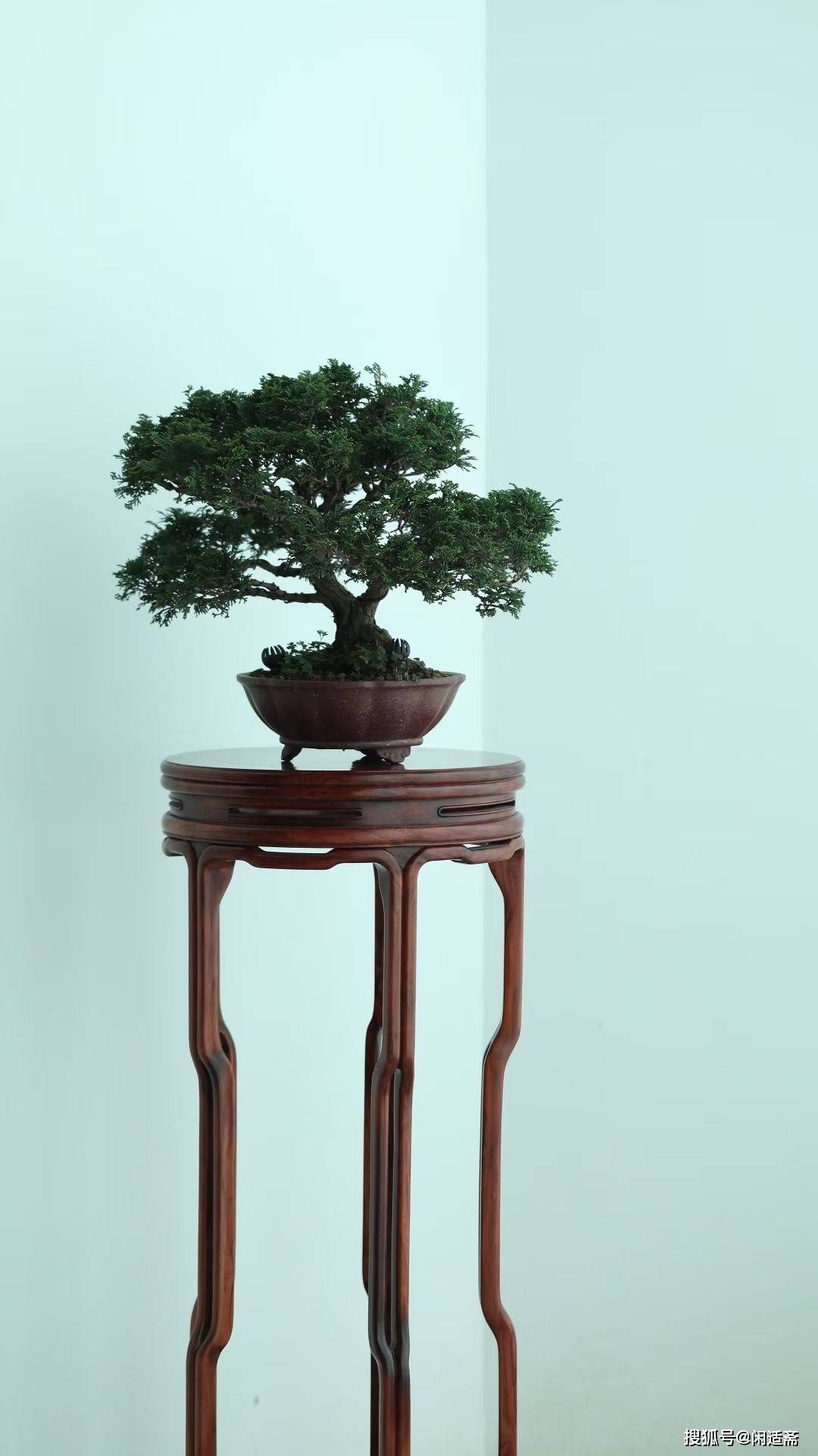 文人空间,雅器之美,黄花梨圆香几