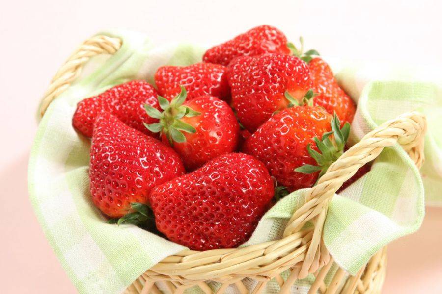 日本新潟县知名草莓越后姬,具有越后公主一般的欲滴香艳