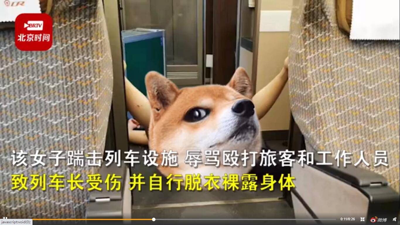 女子高铁上殴打列车长脱衣裸露身体