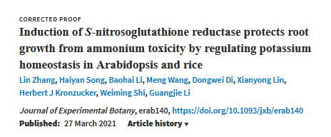 jexpbot南土所nmt發現gsnor通過調控k穩態增強植物對銨毒的耐受性