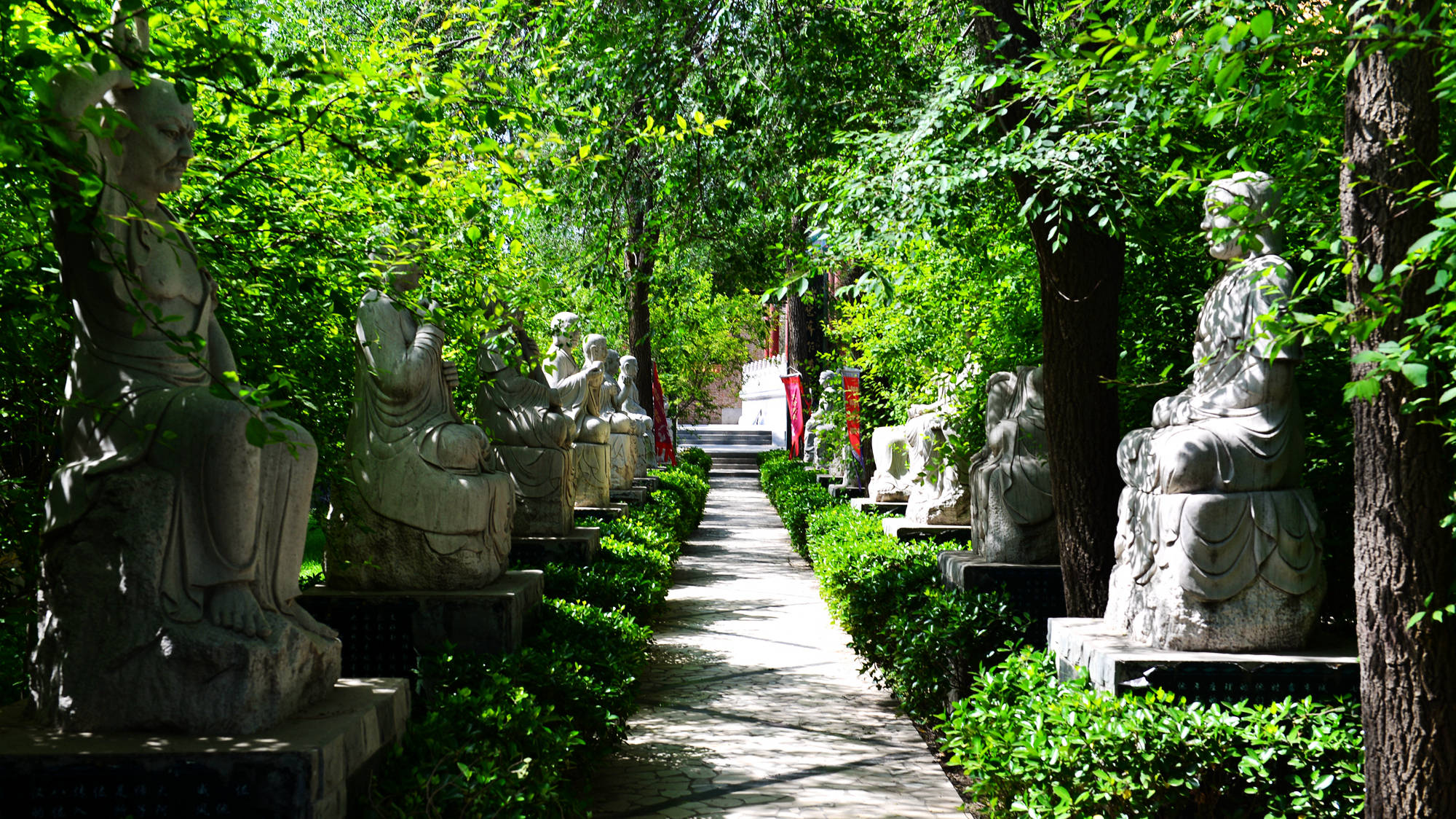 走,到万和宫为人民英雄袁隆平送上一个花篮_王殿明