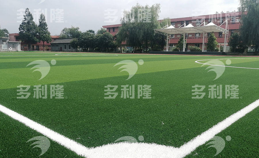 多利隆|免充砂人造草坪解析