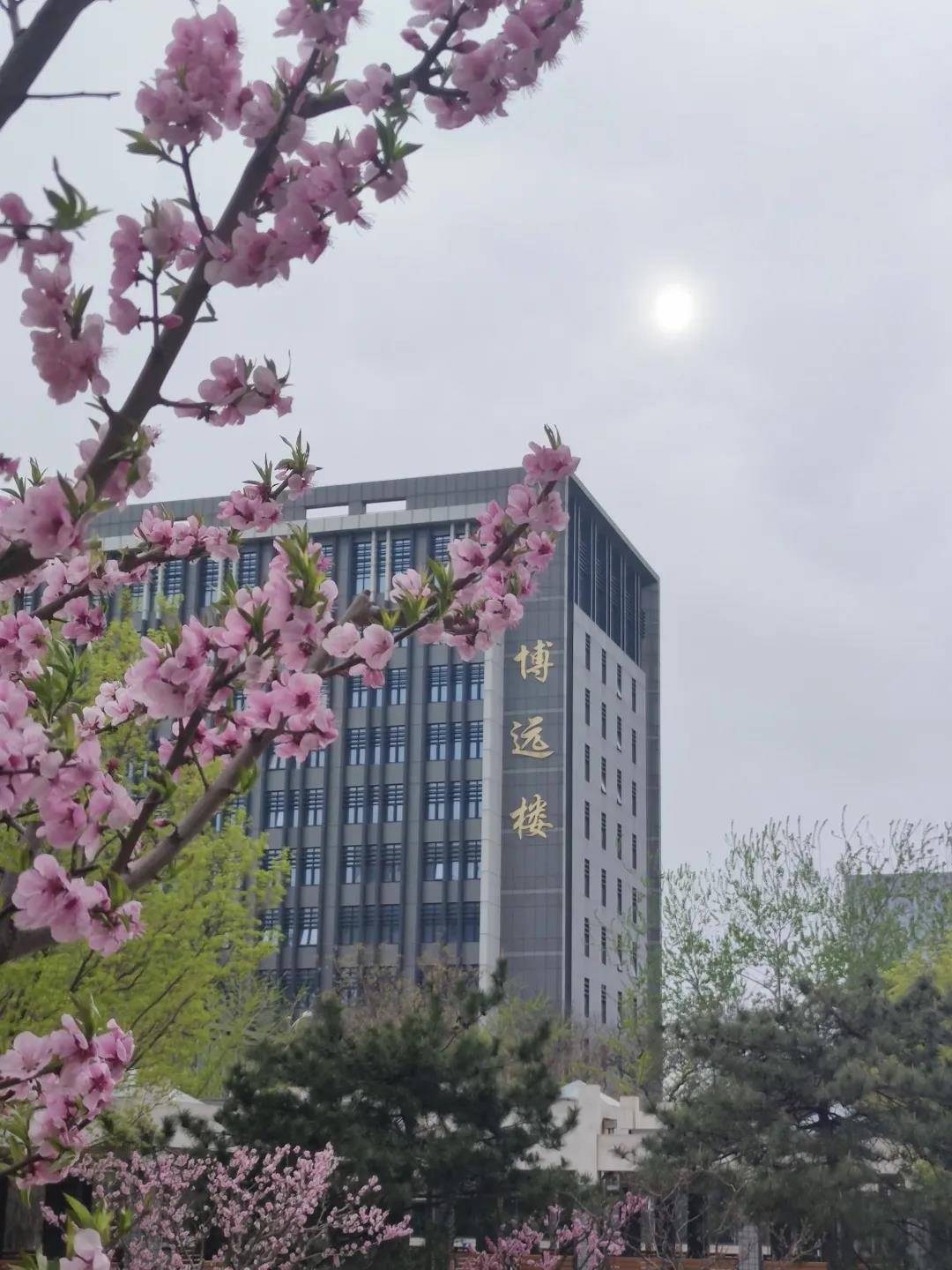 北方工业大学是一本么?学校实力怎么样?