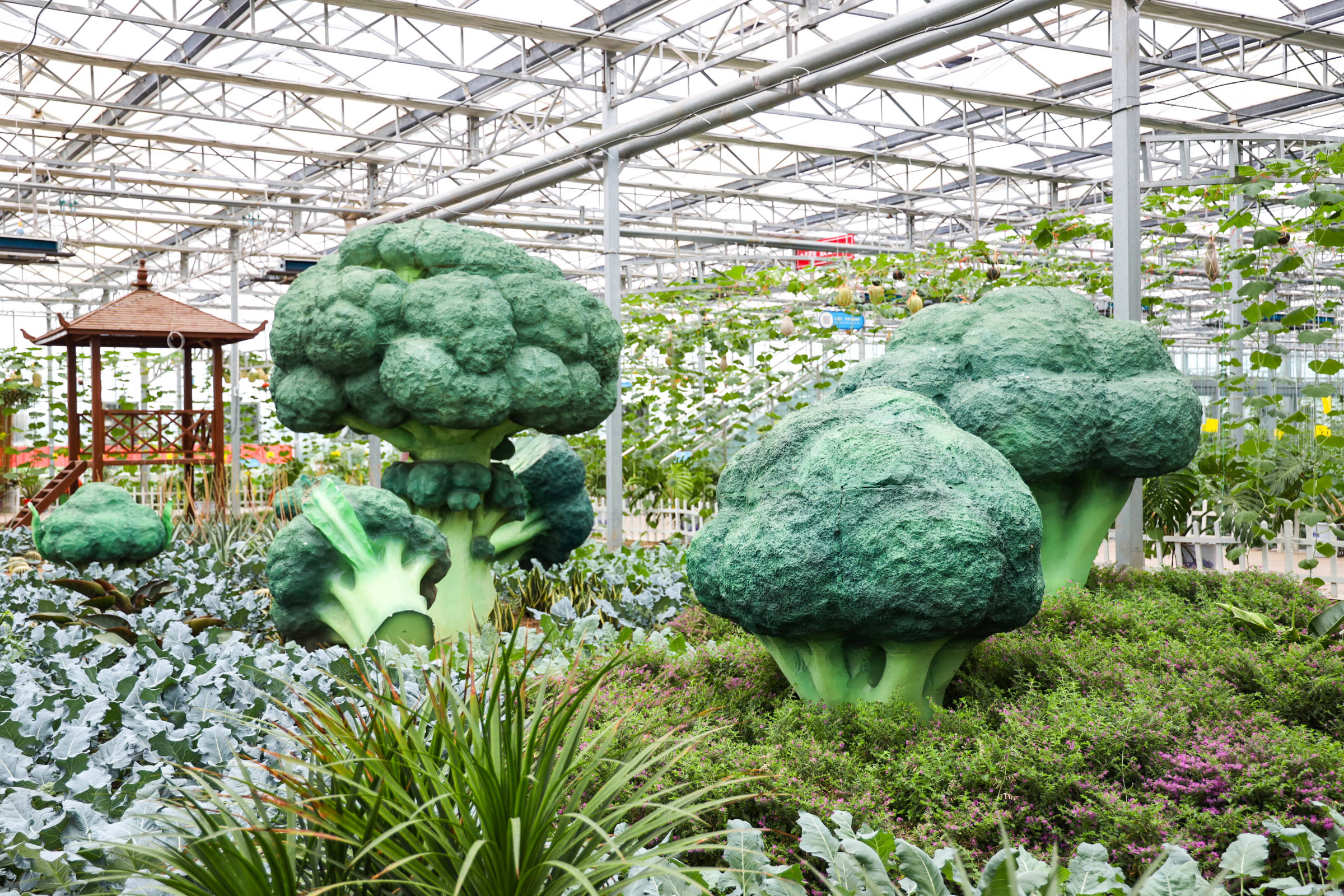 盐城亲子游好去处奇幻的现代农业休闲观光