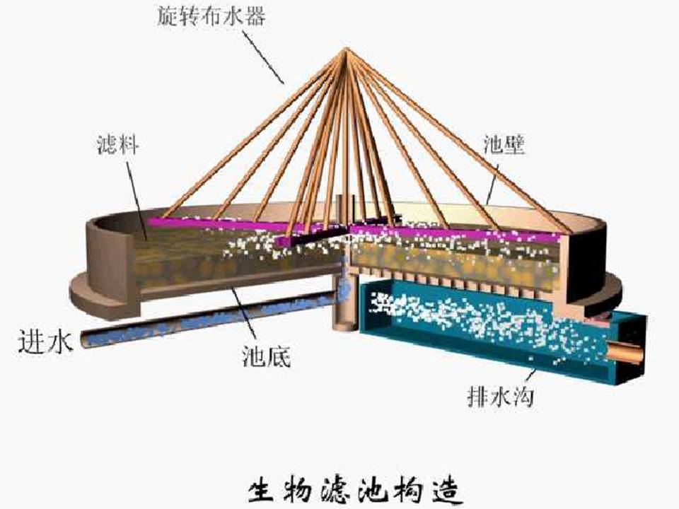 生物膜生物滤池