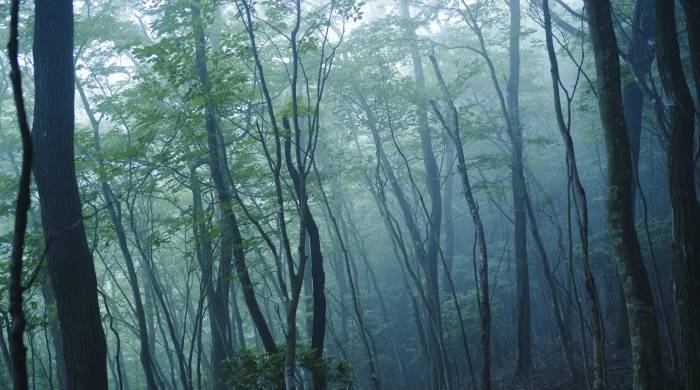 家电产业“推高卖新”转型,工厂与商家从来不是矛盾对立体-家电圈官网