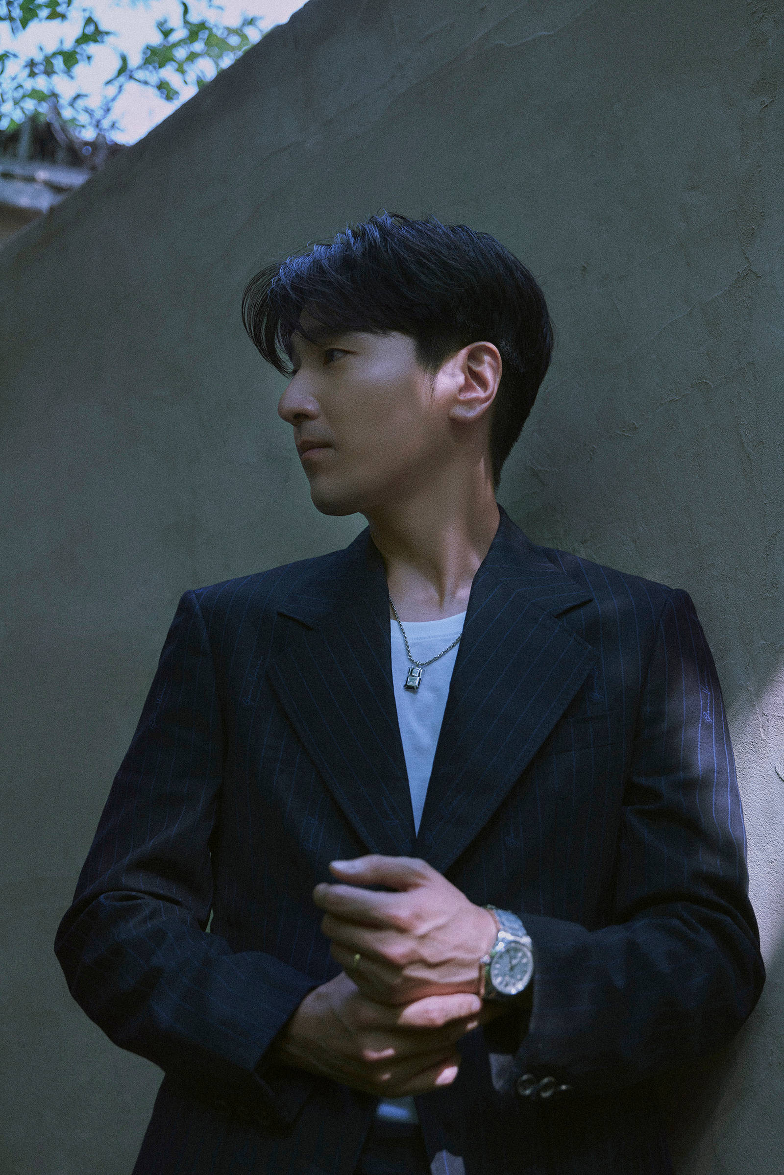 赵又廷绿野光影大片 着深色西装帅气绅士