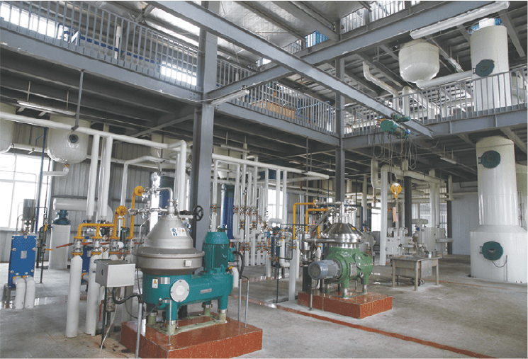 食用油脂压榨制作工艺不止冷榨热榨