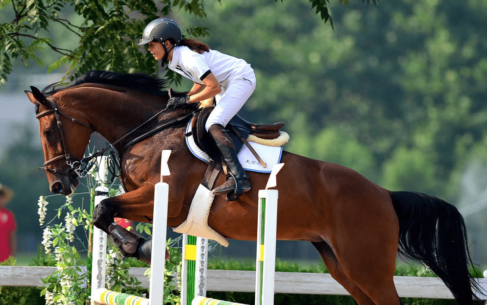 四,缩短脚蹬:跳障碍时所用的脚蹬,比基本骑乘或马场马术时要短大约四