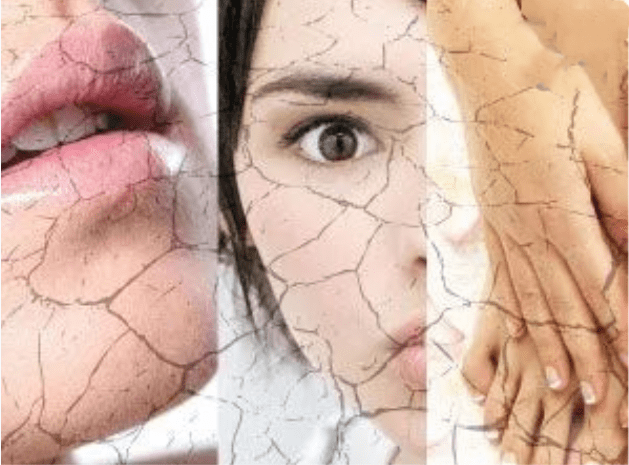 什么叫免疫性治疗 23626ffae9d94066936f593d8f5bdc81.png