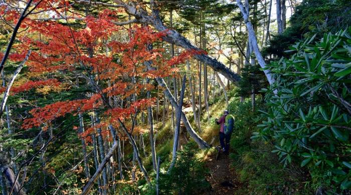 一线市场浑水摸鱼乱象多,以惠民补贴名义欺骗式卖杂牌家电!-家电圈官网
