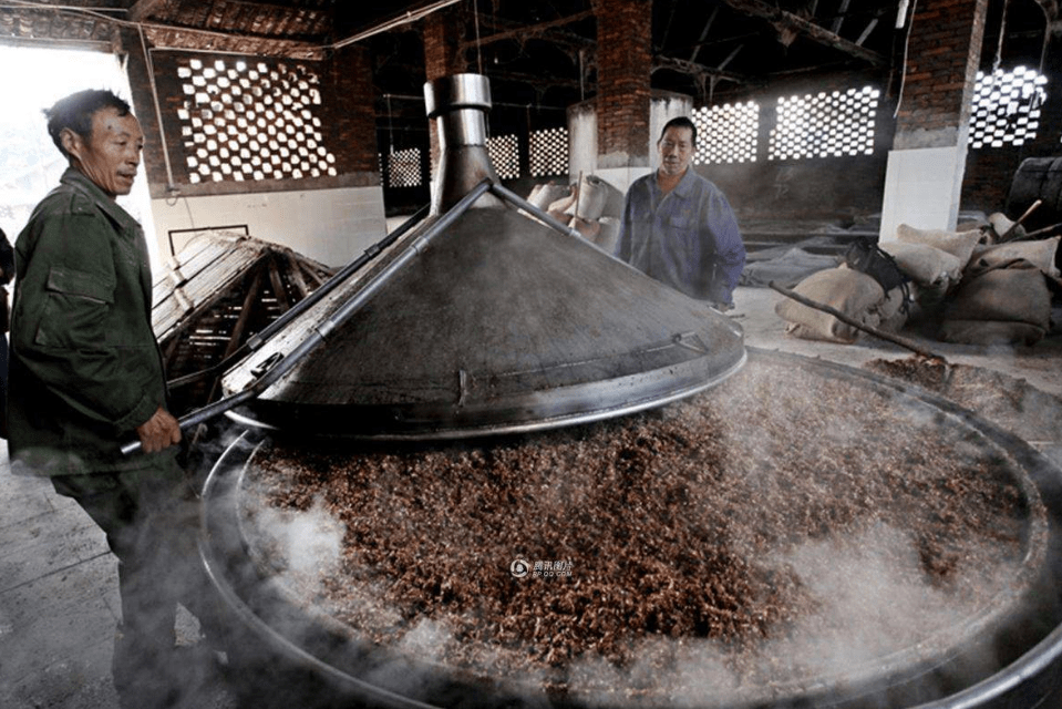 原创酿酒千万不能忽视泡粮的重要性有助提升酒的质量