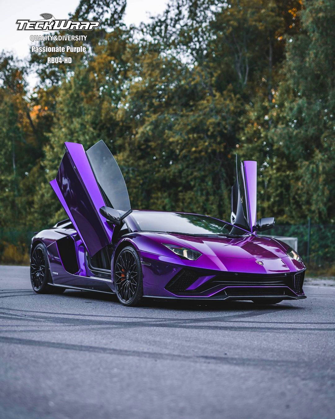 年纪轻轻就开上了紫色兰博基尼可以躺平了吗