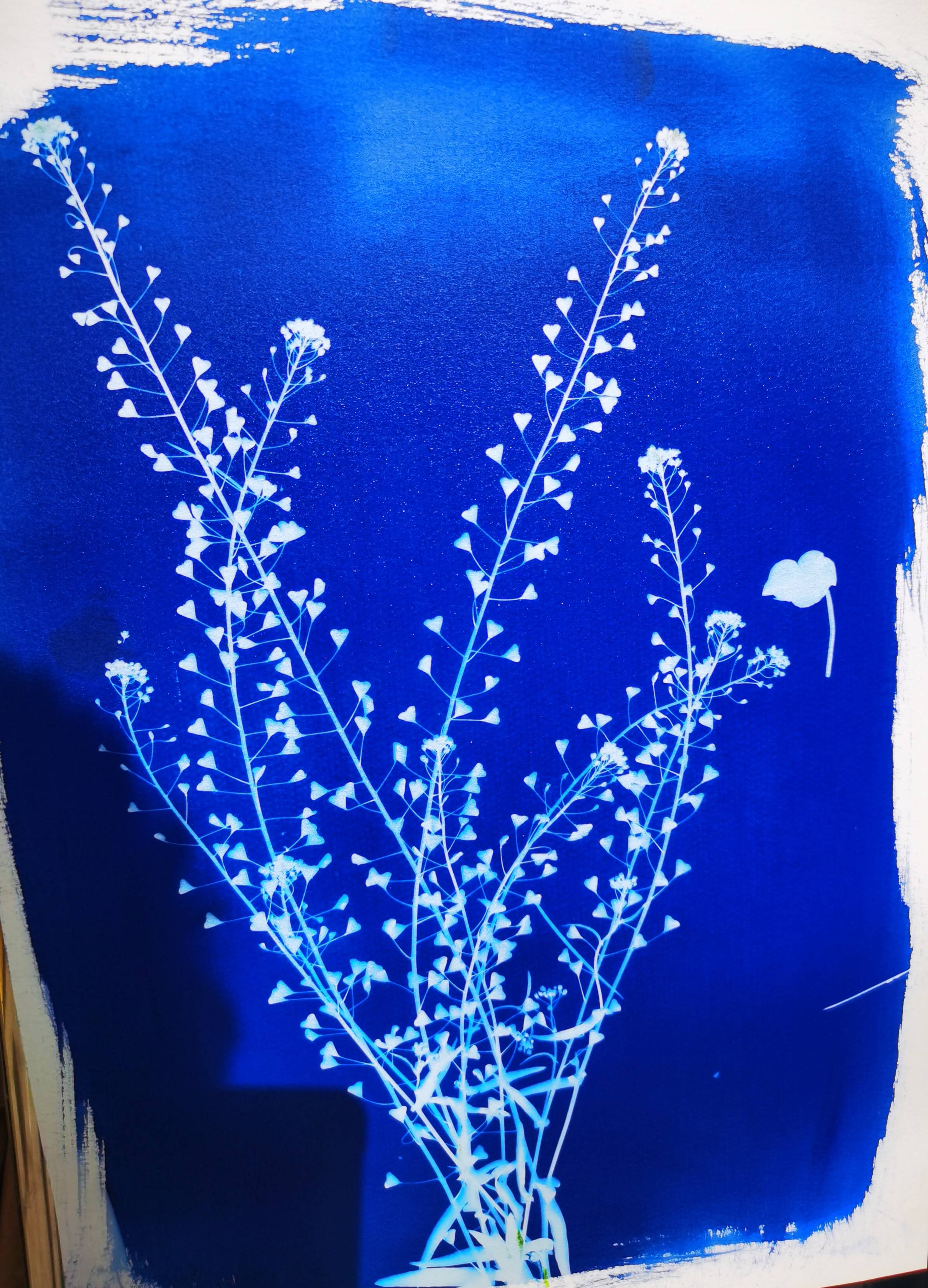 造物记之感受夏日色彩——走进蓝晒的奇妙世界