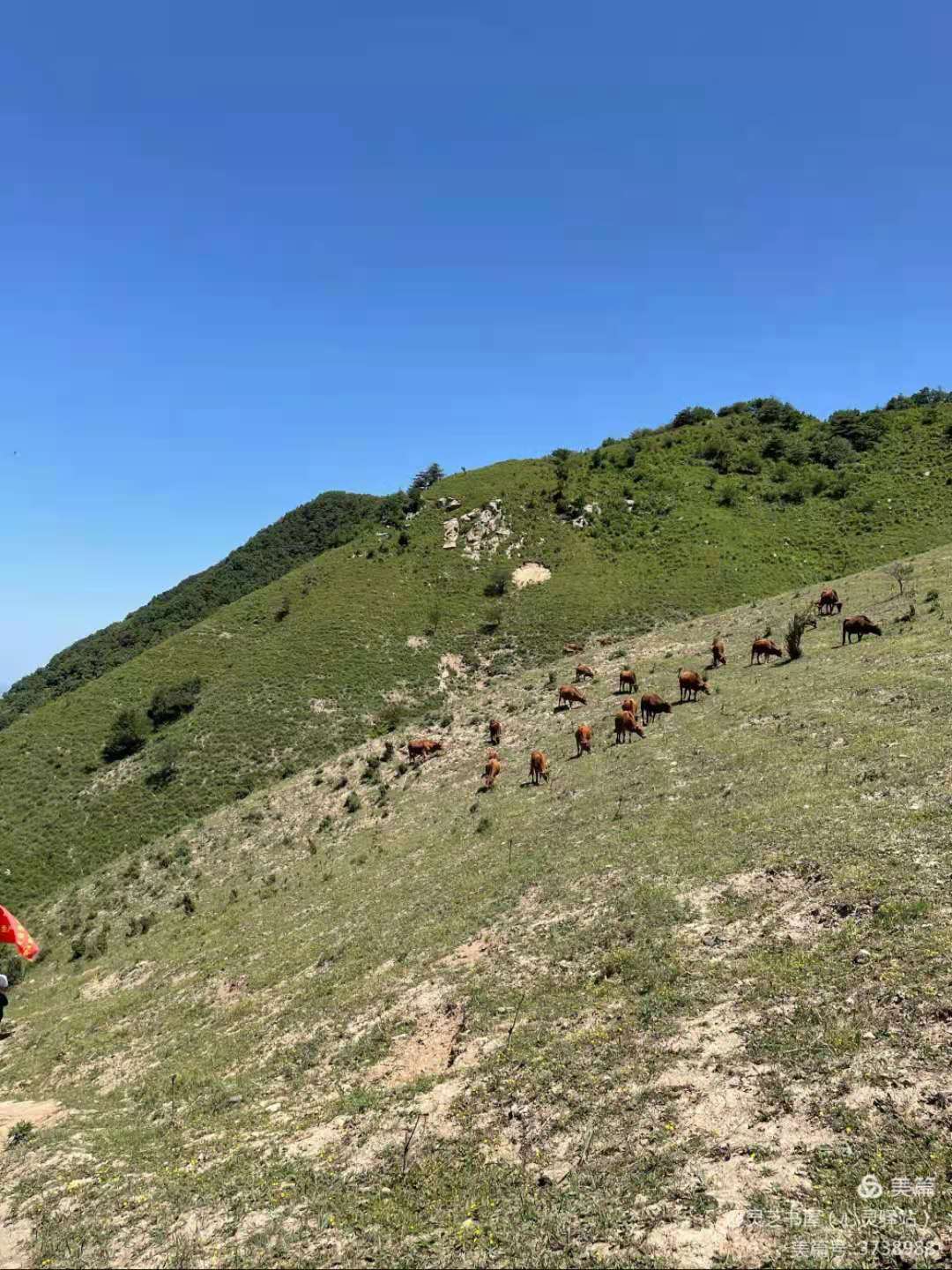 蓝田流峪飞峡草甸图片