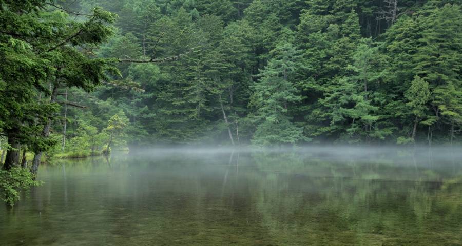 端午节今年粽子销售大涨四成，这股消费新潮背后的家电业反思-家电圈官网