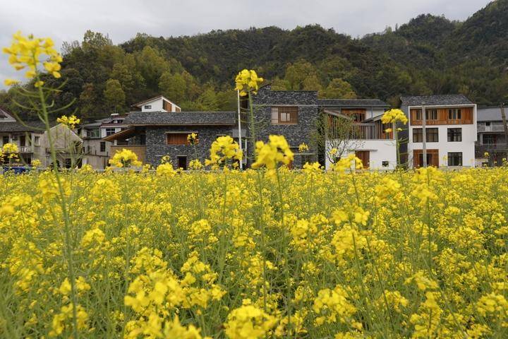 旅游 997f128583214be08a5bfb9102fcce80.jpeg