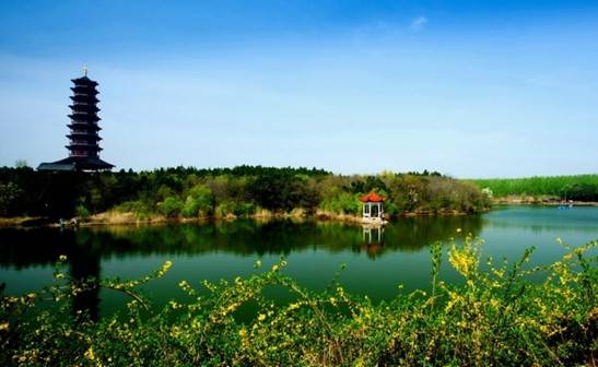宿迁嶂山森林公园美景