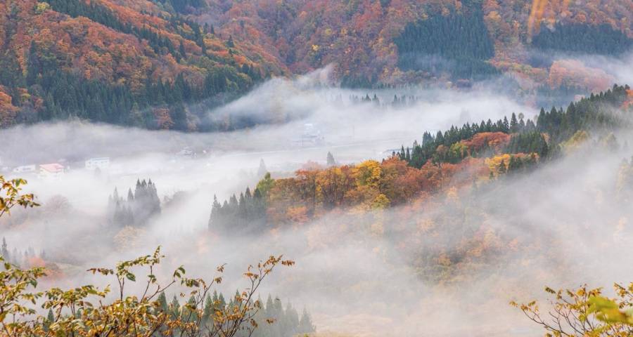 家电618上演巨头争霸赛，京东天猫海尔美的海信格力TCL各领风骚-家电圈官网