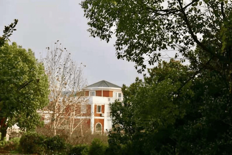 藏在网红小李村的私房菜它凭什么这么火