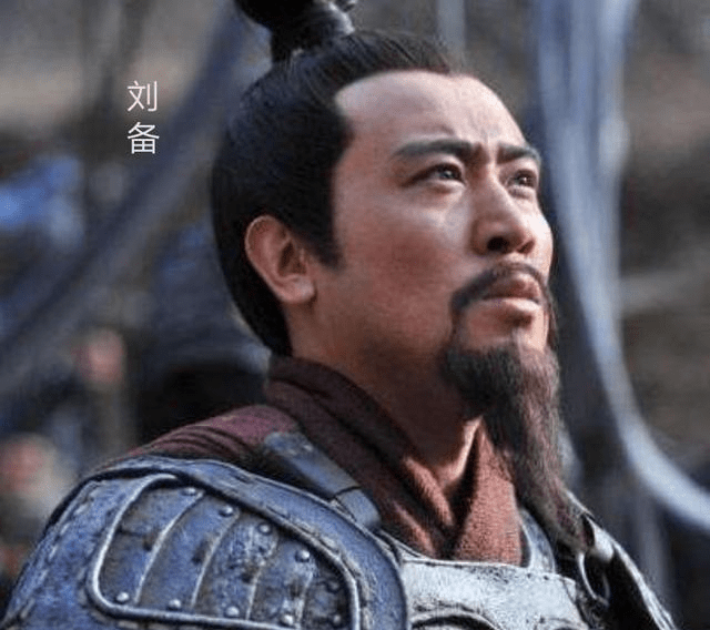 历史上真实的刘备一共杀了多少大将