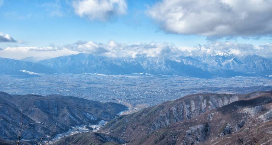 618为何没能催生家电消费新动力?-家电圈官网