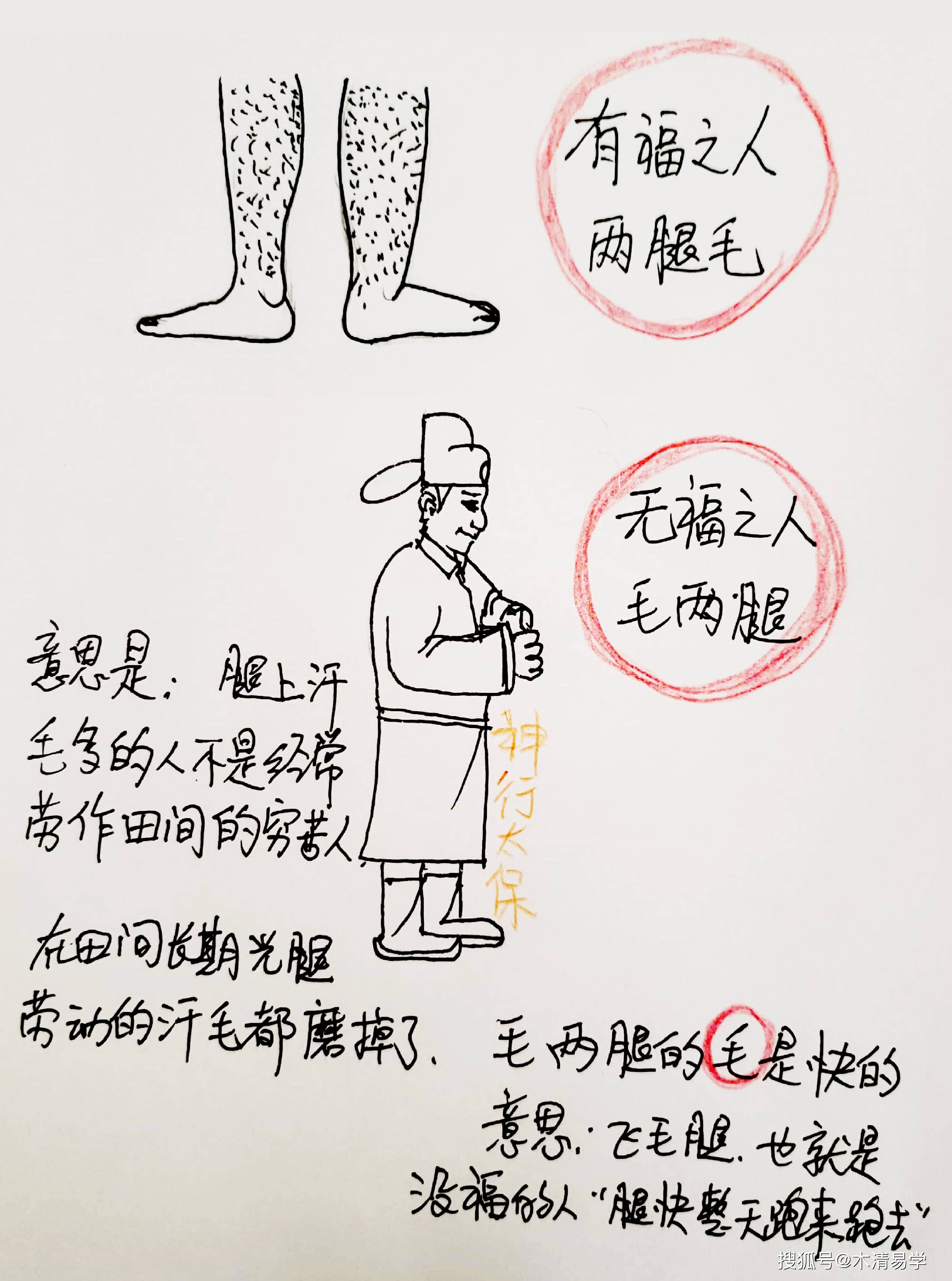 民间俗语"有福之人两腿毛,无福之人毛两腿",是什么意思?