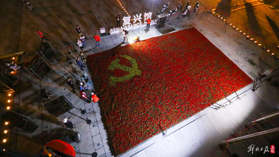 上海花博园复兴馆"鲜花党旗"红艳艳