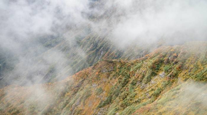 私域流量还能做么?母婴社群的2点发现为家电厂商找答案-家电圈官网