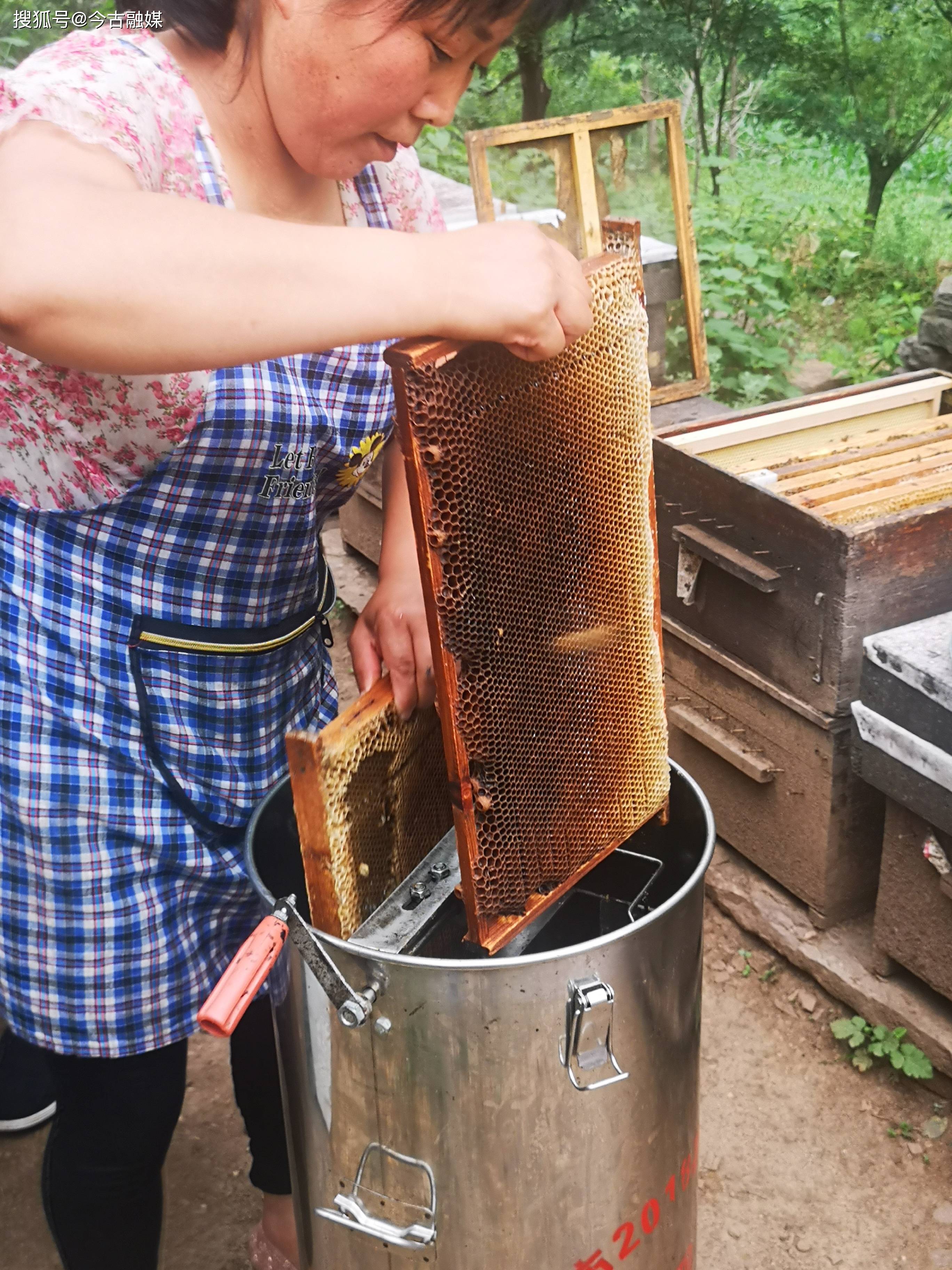蜂巢|太行山下养蜂人，十年后再见，甜蜜依旧