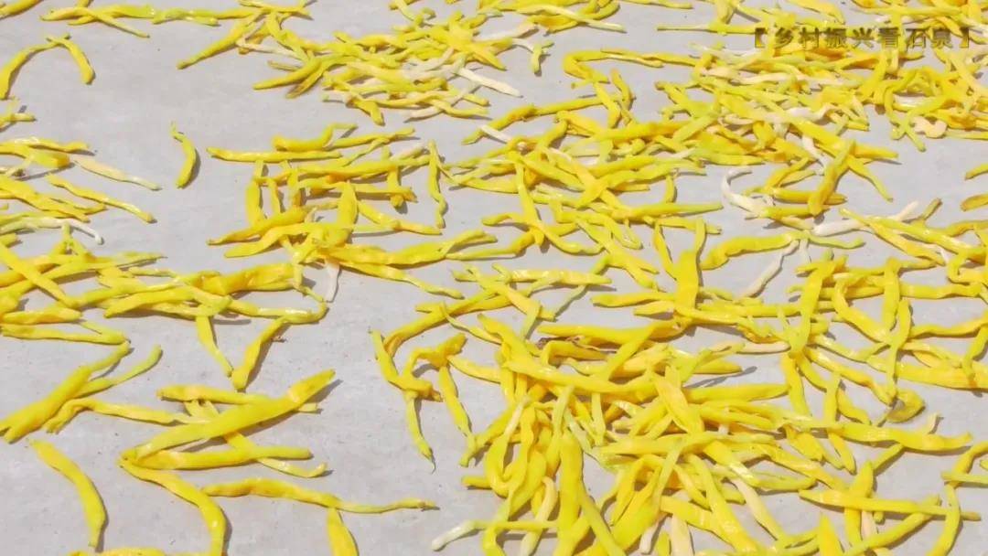 陕西石泉黄花菜成出口创汇名品安康正兴助力乡村振兴腾飞梦