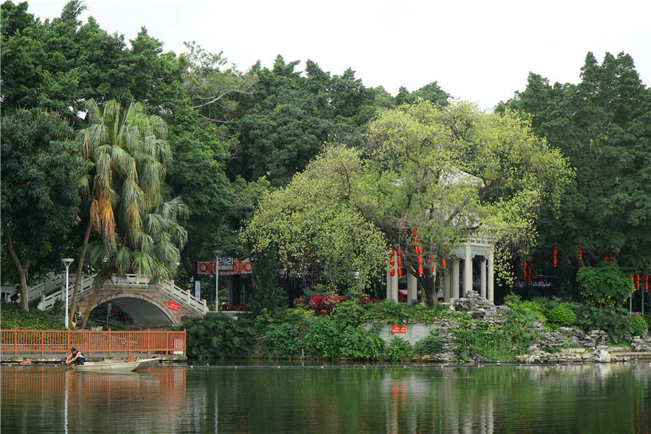 广州荔枝湾公园图片