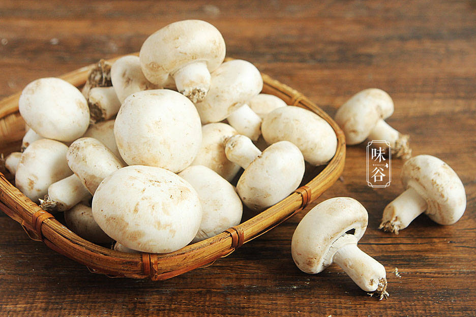 三伏天必吃六种食材 5e663dd0f35c4b4398f4e40c169fb2a4.jpeg