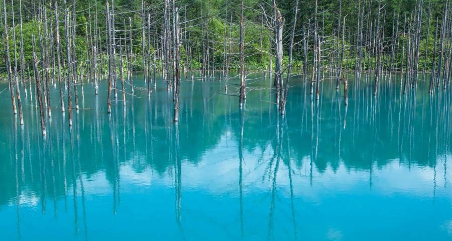 家电厂商们接下来最害怕什么?-家电圈官网