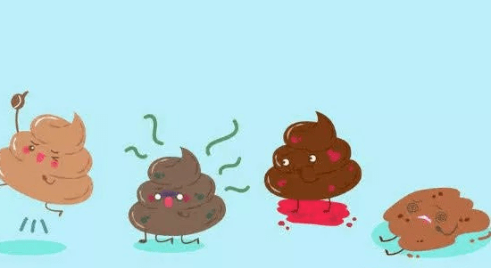 原创一天中排便几次才算健康?若能保持"这个数",肠道还算健康