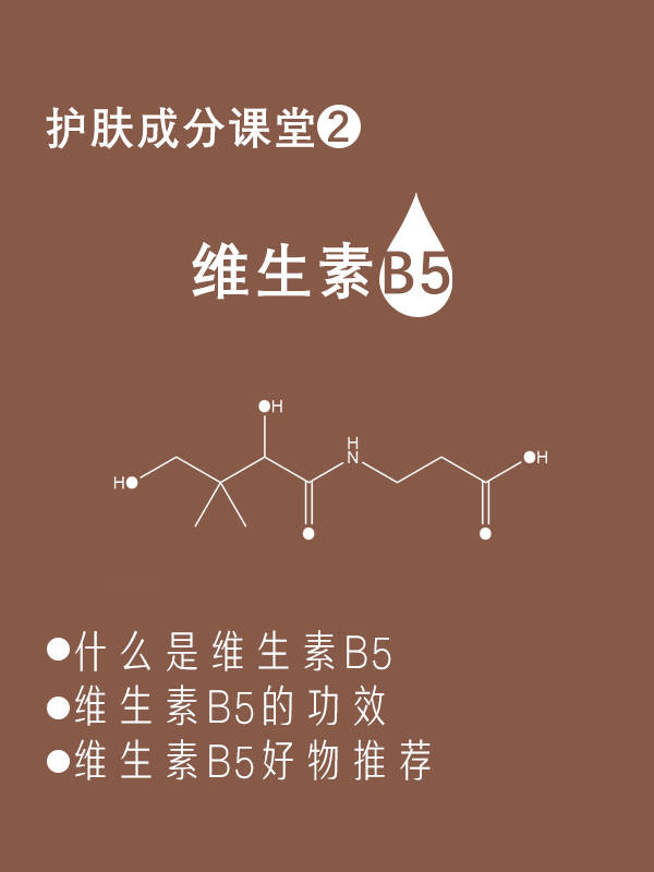 什么|保湿修护成分|维生素B5