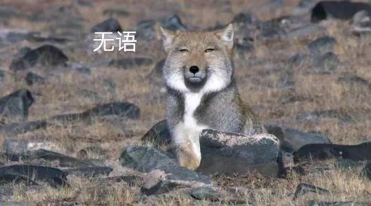 沙尘|每日一护肤丨你有脸黑到亲妈都不认识的经历么？