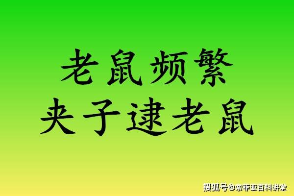 上海面馆排行_上海一家13平米的深夜面馆,一碗面40元,王思聪、潘玮柏都来吃过