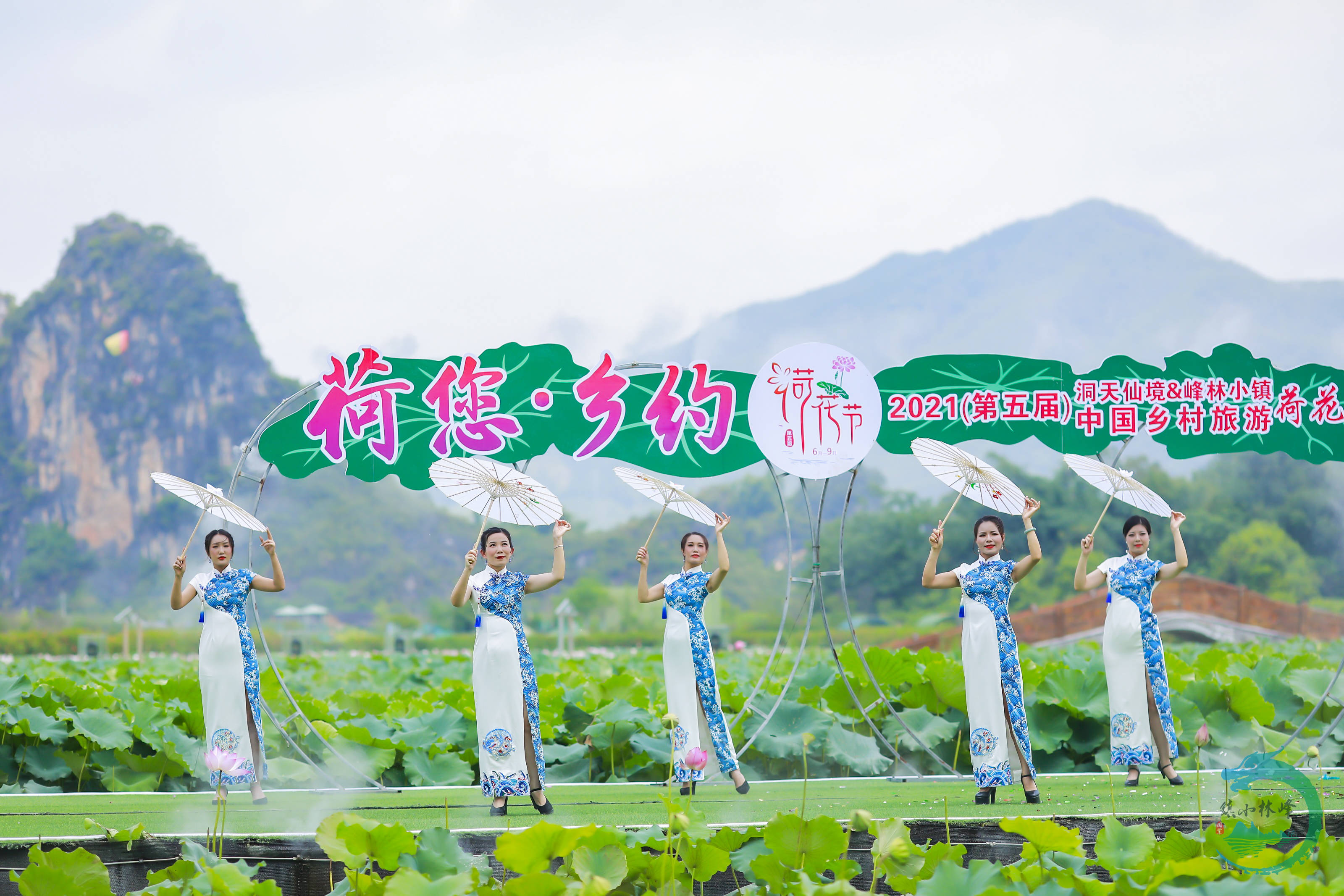 荷你相約 荷花旅遊文化節隆重舉行 九龍 中國熱點