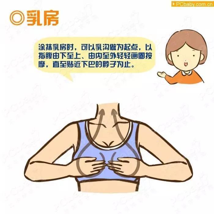 涂抹乳房时,可以乳沟作为起点,以指腹由下至上,由内至外轻轻画圈按摩
