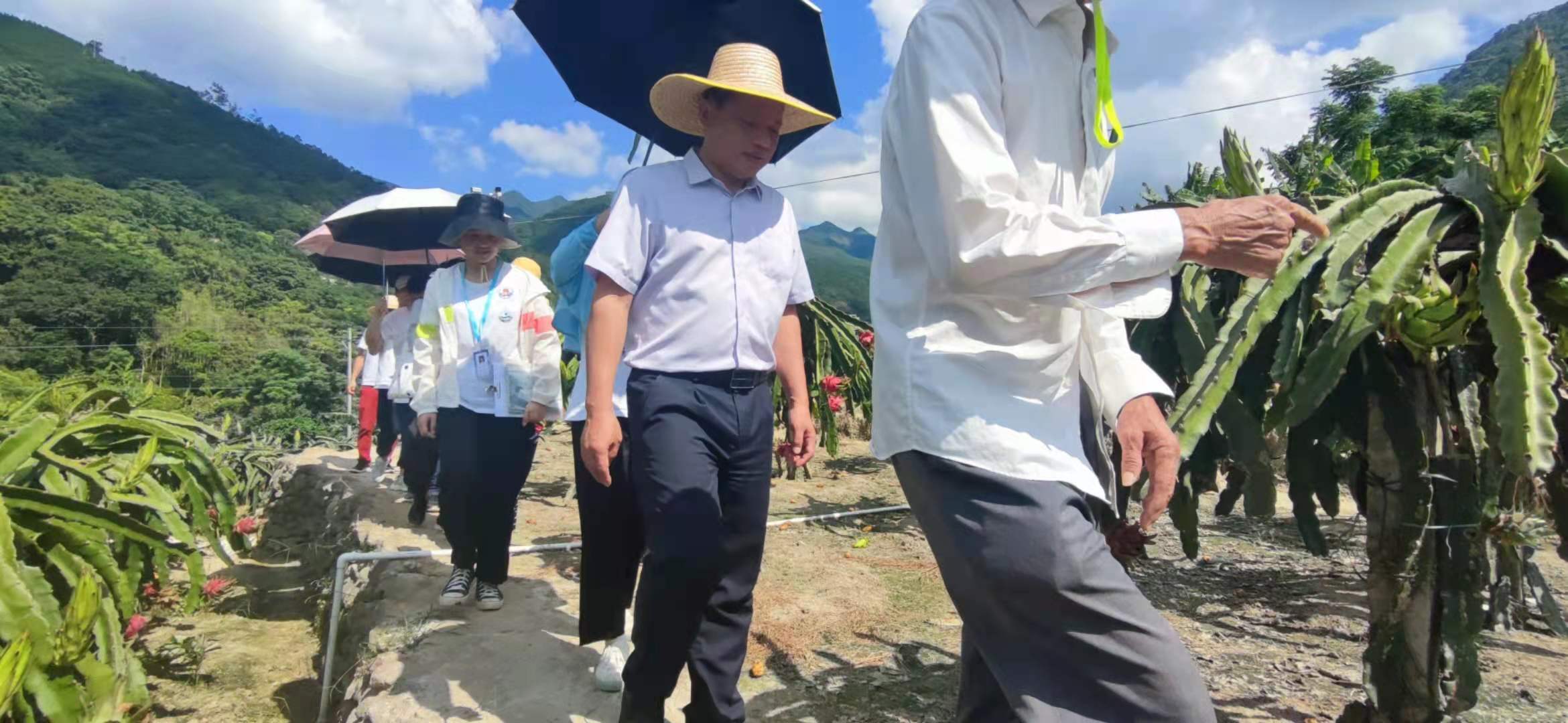 薪火启航领导走访三下乡社会实践基地